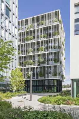 Wohnhaus "Studio Zwei", Wien, Österreich