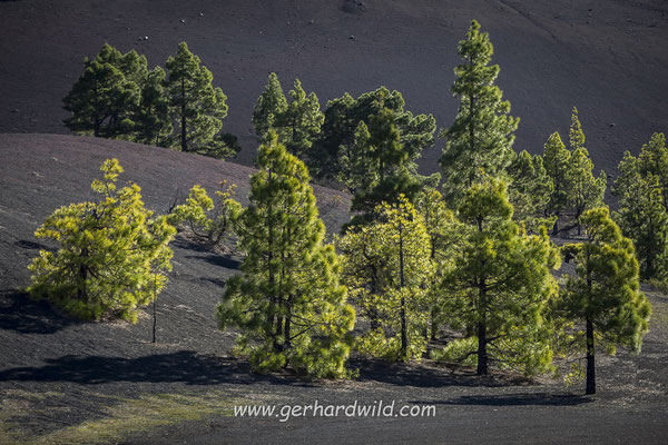 Llano del Jable, La Palma, Spanien