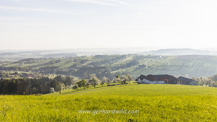 Mostviertel, Niederösterreich, Österreich