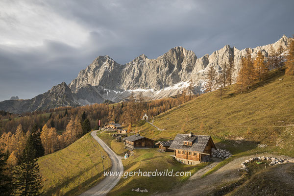 Alm mit Dachstein, Steiermark, Österreich