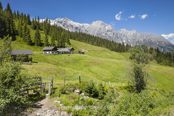 Klingelbergalm, Salzburg, Österreich