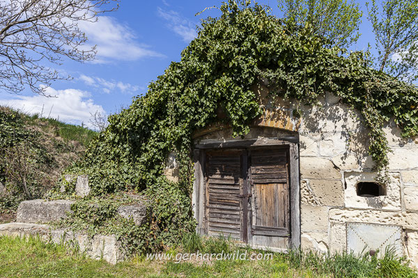 Kellergasse in Purbach, Burgenland, Österreich