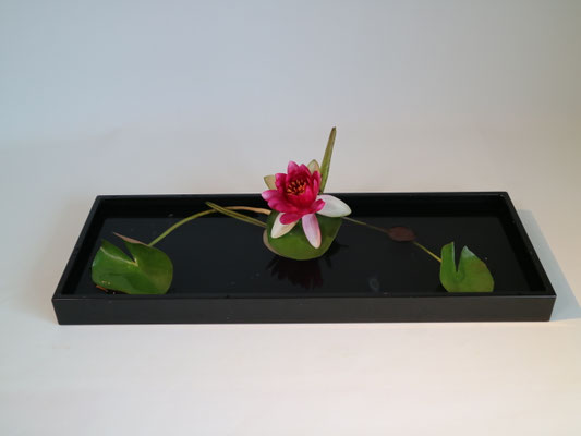 久し振りで睡蓮をいける。前回より花の水揚げ難しい。
