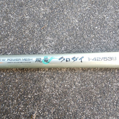ＤＡＩＷＡ　ＣＷＰＭ飛竜　１号　４２／５３　　　　落とし込み釣り初めてのロッド