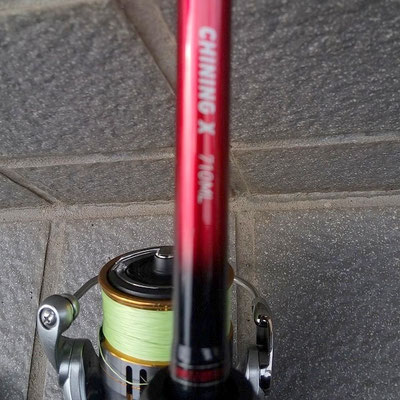 ＤＡＩＷＡ　ＣＨＩＮＮＩＮＧ　Ｘ　７１０ＭＬ