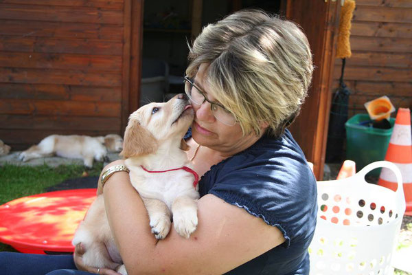 4 Dogs Hunde Trainerin Birgit Glauninger 4 Dogs Glauninger Das Kreative Hundezentrum