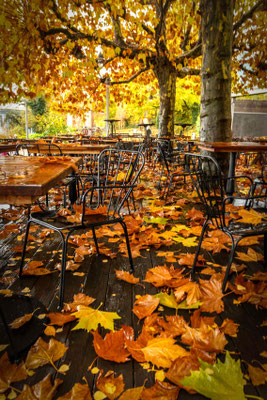 Herbststimmung in Thalwil