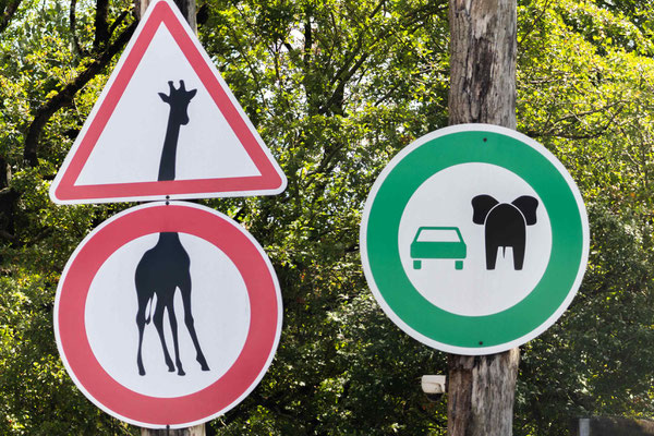 Safaripark