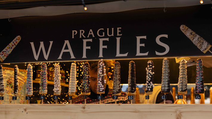 Tagesausflug nach Prag