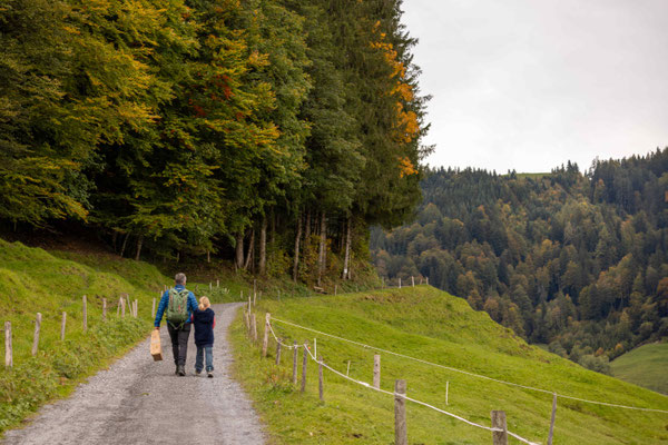 Pilze suchen bei Einsiedeln