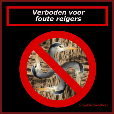 Foute reigers