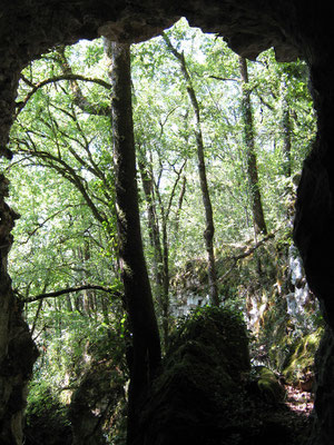 Caverne Cro-Magnon à Montcabrier