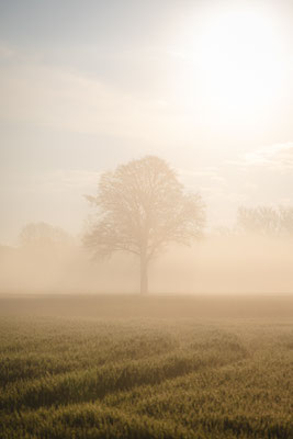 Stille