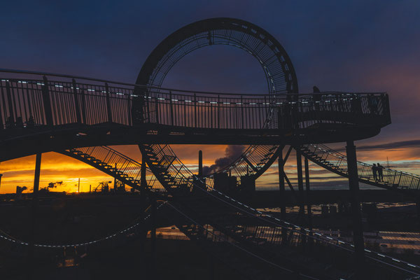 Tiger & Turtle