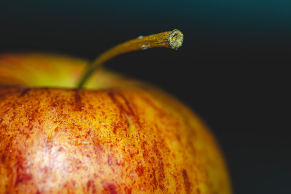 Ohne Sti(e)l gehts nicht