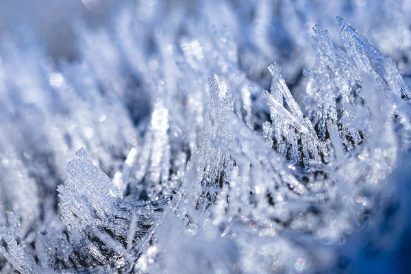 Frosty