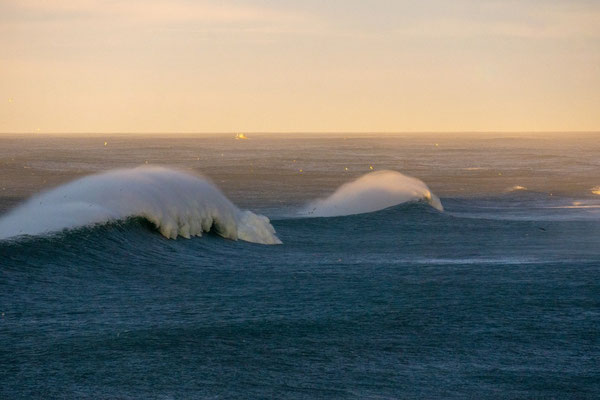 Winter Swell