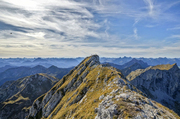 Gipfelflur - Hochplatte, Ammergauer Alpen