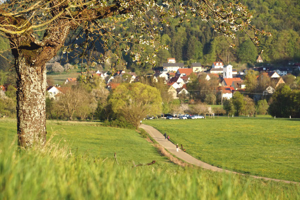 Frühling im Förrenbachtal