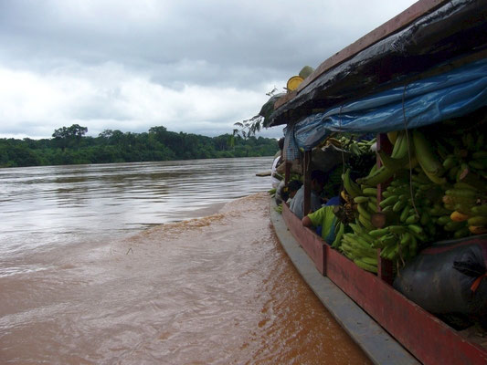 Río Tambopata