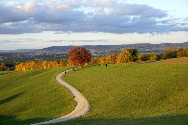 Herbstfarben bei Kalchreuth (Tour 1)