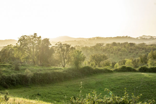 São Luís, Alentejo