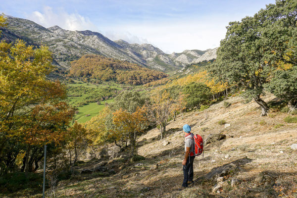 Goldener Herbst im Valle de Tosande auf der Südseite der Cordillera Cantábrica (Montaña Palentina)