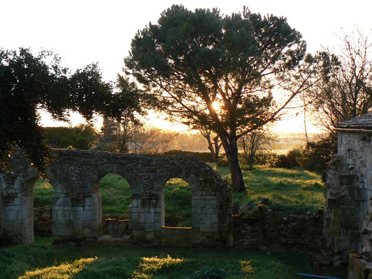 Le cloître et la façade du chapitre