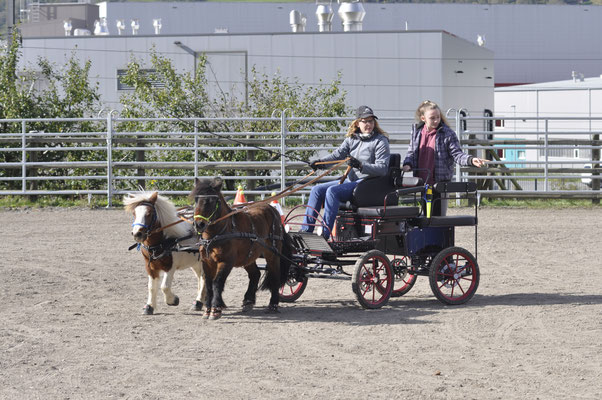 Trainingsfahrtunier HETS Openday