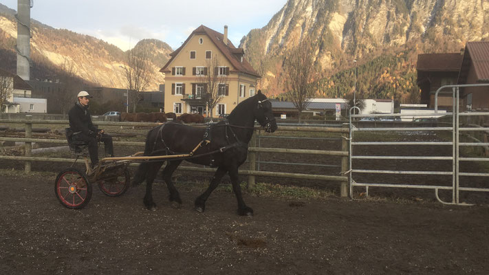 Osky als Fahrleher