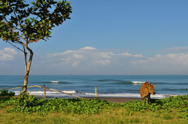 bali surf spot