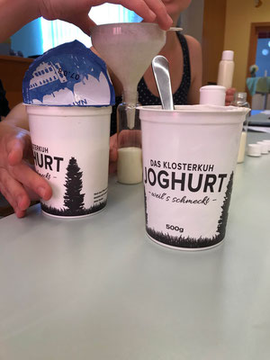 Joghurt als Star in der Hautpflege; Projekt "Kärntner Landschönheit"
