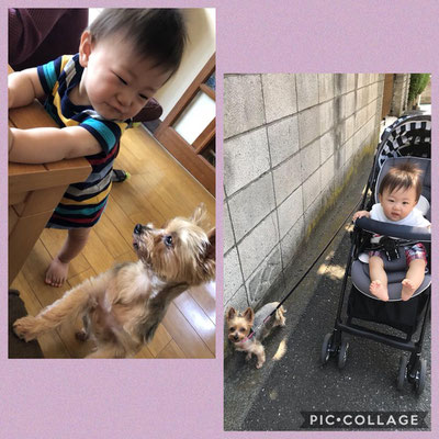 Zu Besuch in Tokyo bei Oma Rie, Yurika's Mama
