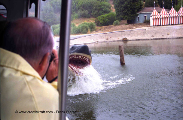 White shark (The Great White)/ der Weisse Hai appears, Studio Tour, Universal Studios Hollywood, Universal City, Los Angeles, California 91608, 6/1990 