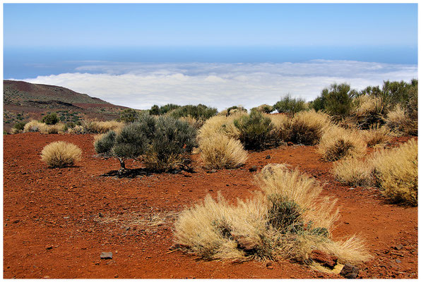 Las Cañadas (Teneriffa - Spanien / Tenerife - Spain) © Eva Maria & Berni Müller