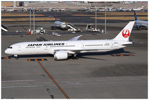 Japan Airlines / Boeing 787-9 / JA879J / 14.03.2025 / © Martin Hackl
