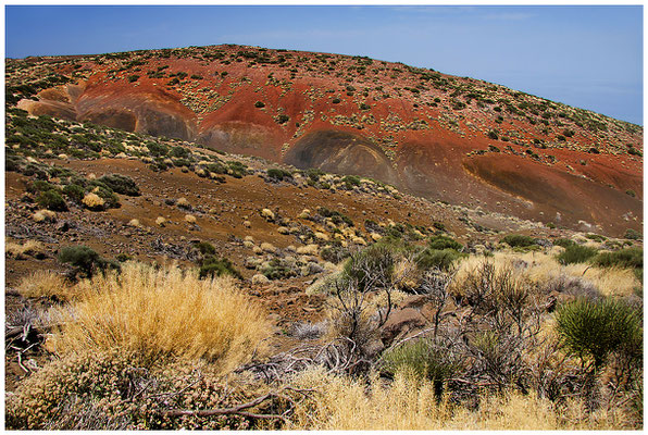 Las Cañadas (Teneriffa - Spanien / Tenerife - Spain) © Eva Maria & Berni Müller 