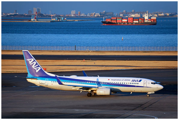  All Nippon Airways / Boeing 737-800 WL / JA52AN / 19.03.2025 / © Martin Hackl