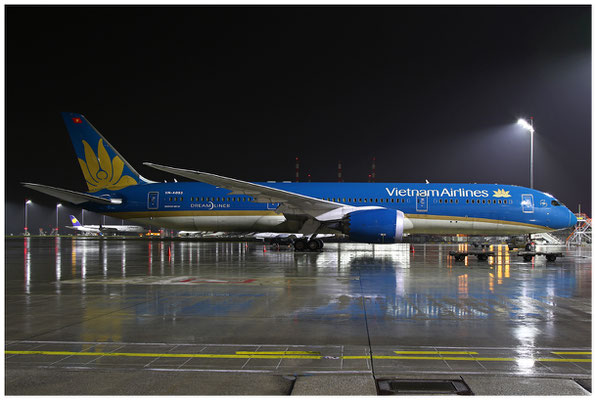 Vietnam Airlines / Boeing 787-9 / VN-A863 / 01.11.2021 / © Martin Hackl