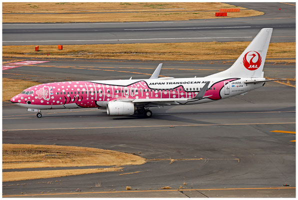 Japan Transocean Air / Boeing 737-800 WL / JA06RK / 15.03.2025 / © Martin Hackl