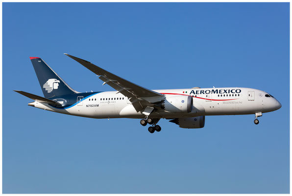 Aeromexico / Boeing 787-8 / N782AM / 25.02.2019 / © Berni Müller
