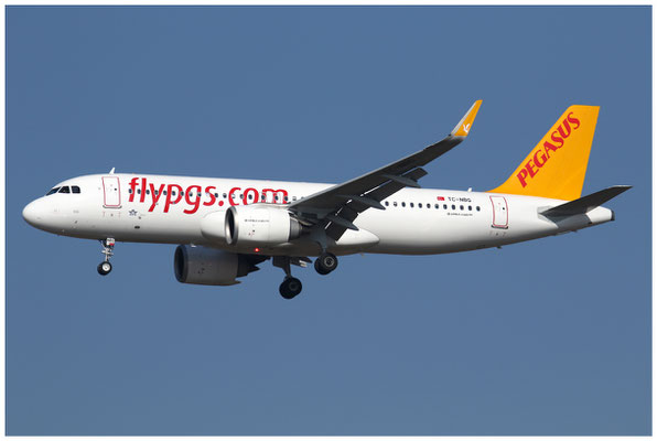 Pegasus Airlines / Airbus A320 NEO / TC-NBG / 15.02.2017 /  © Martin Hackl