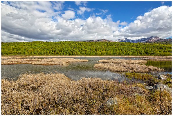 Potter Marsh - Alaska (USA) © Eva Maria & Berni Müller