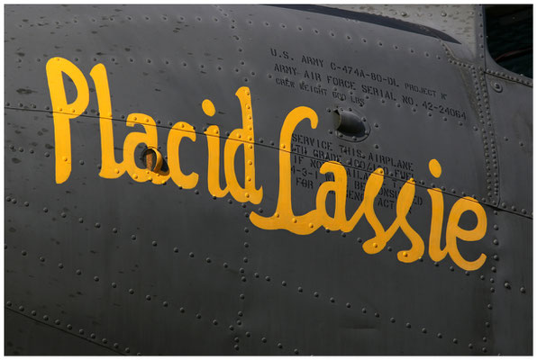 Placid Lassie / 18.06.2019 / © Martin Hackl