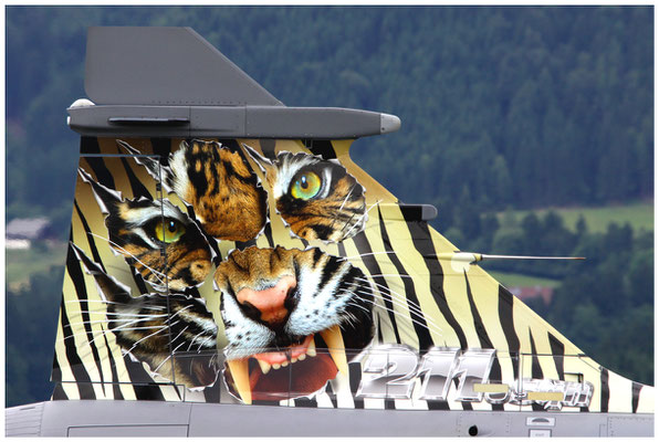 Czech Republic - Air Force / Saab JAS-39C Gripen / 9235 / 01.07.2011 / © Berni Müller