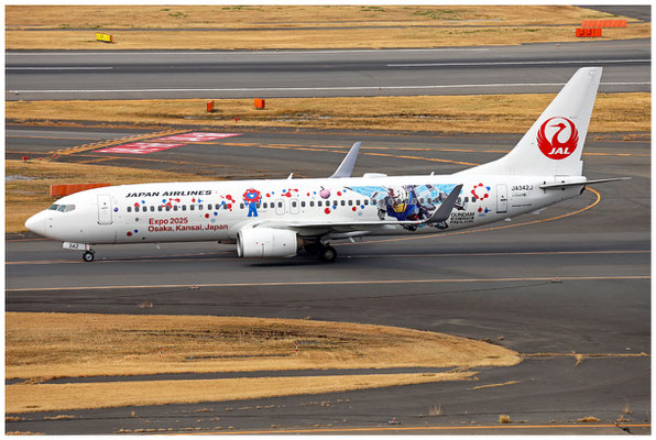 Japan Airlines / Boeing 737-800 WL / JA342J / 15.03.2025 / © Martin Hackl