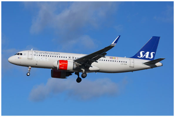 Scandinavian Airlines (SAS) / Airbus A320-200N / LN-RGN / 25.11.2017 / © Berni Müller
