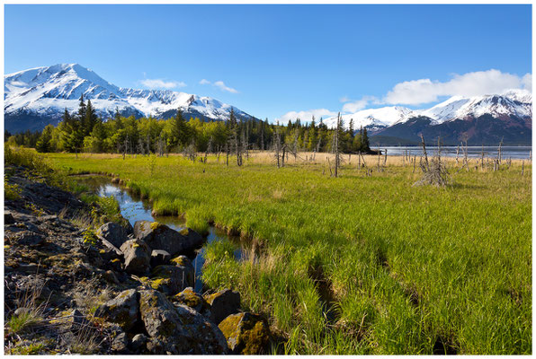 Turnagain Arm - Alaska (USA) © Eva Maria & Berni Müller