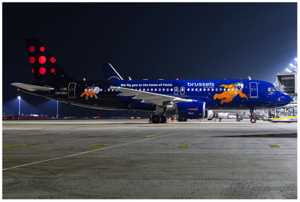 Brussels Airlines / Airbus A320-200 / OO-SNJ / 20.03.2026 / © Martin Hackl
