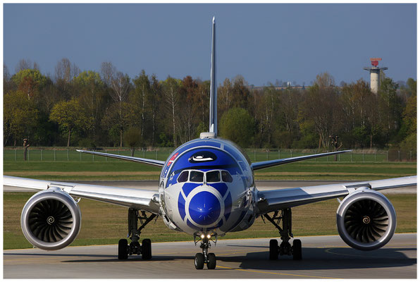 All Nippon Airways (ANA) / Boeing 787-9 Dreamliner / JA873A / 09.04.2017 / © Berni Müller